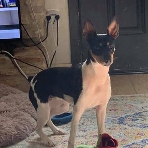 Meet your Posher, Margaret